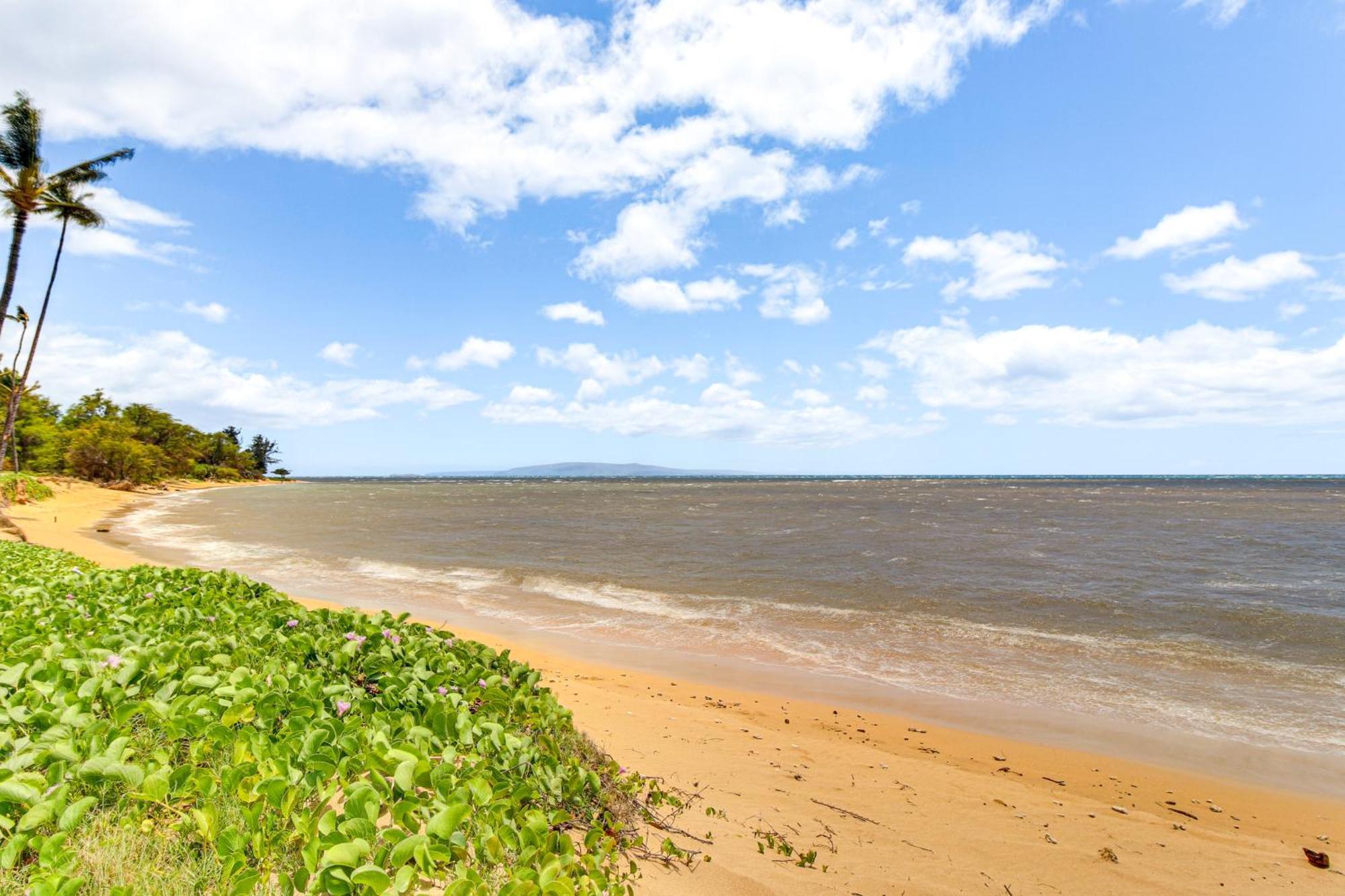 Gorgeous Oceanfront Condo With Spectacular Views! Kihei Buitenkant foto