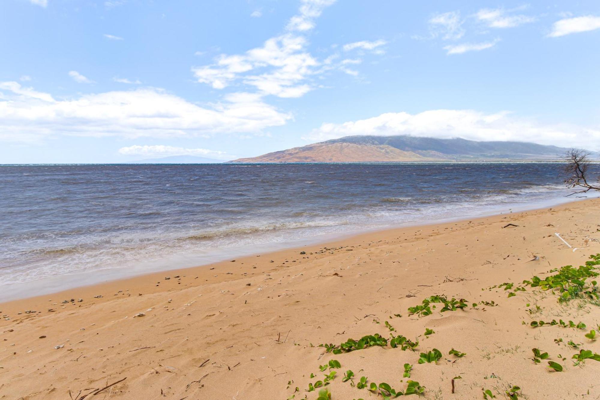 Gorgeous Oceanfront Condo With Spectacular Views! Kihei Buitenkant foto
